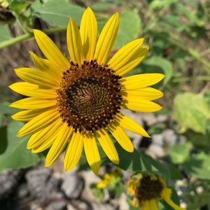 Meet your Posher, Leslie